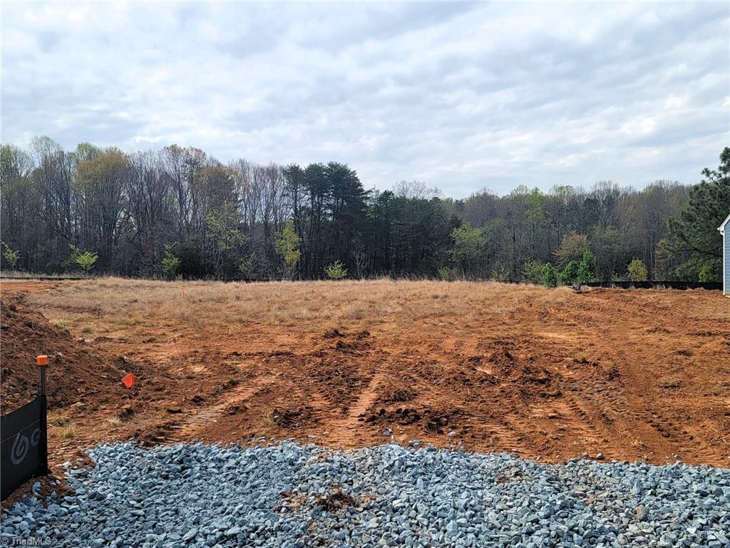 Image 3: Actual Photo. See Completion Date.