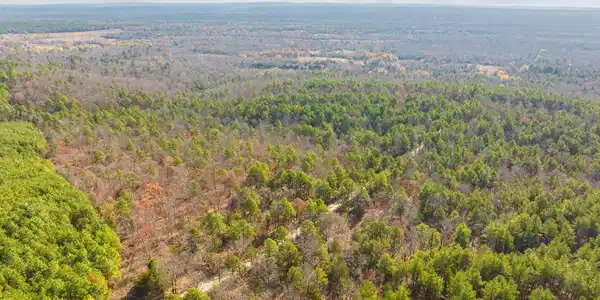 50 Tram Trail