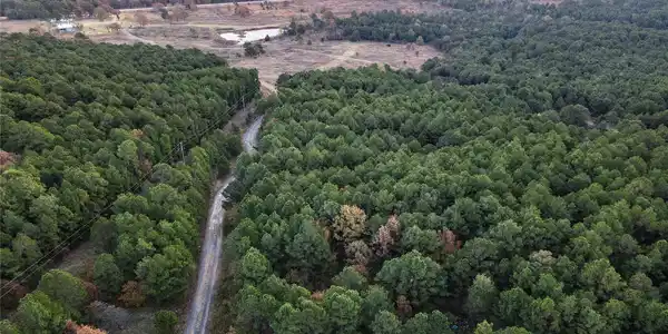 Image 2: Expansive wooded acreage featuring a winding grave
