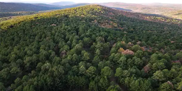 Image 3: Expansive wooded landscape featuring a metal-roofe