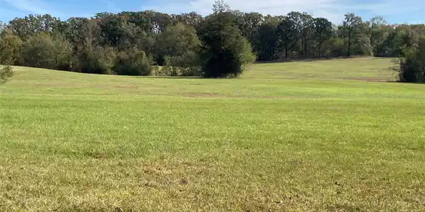901 Sycamore Loop