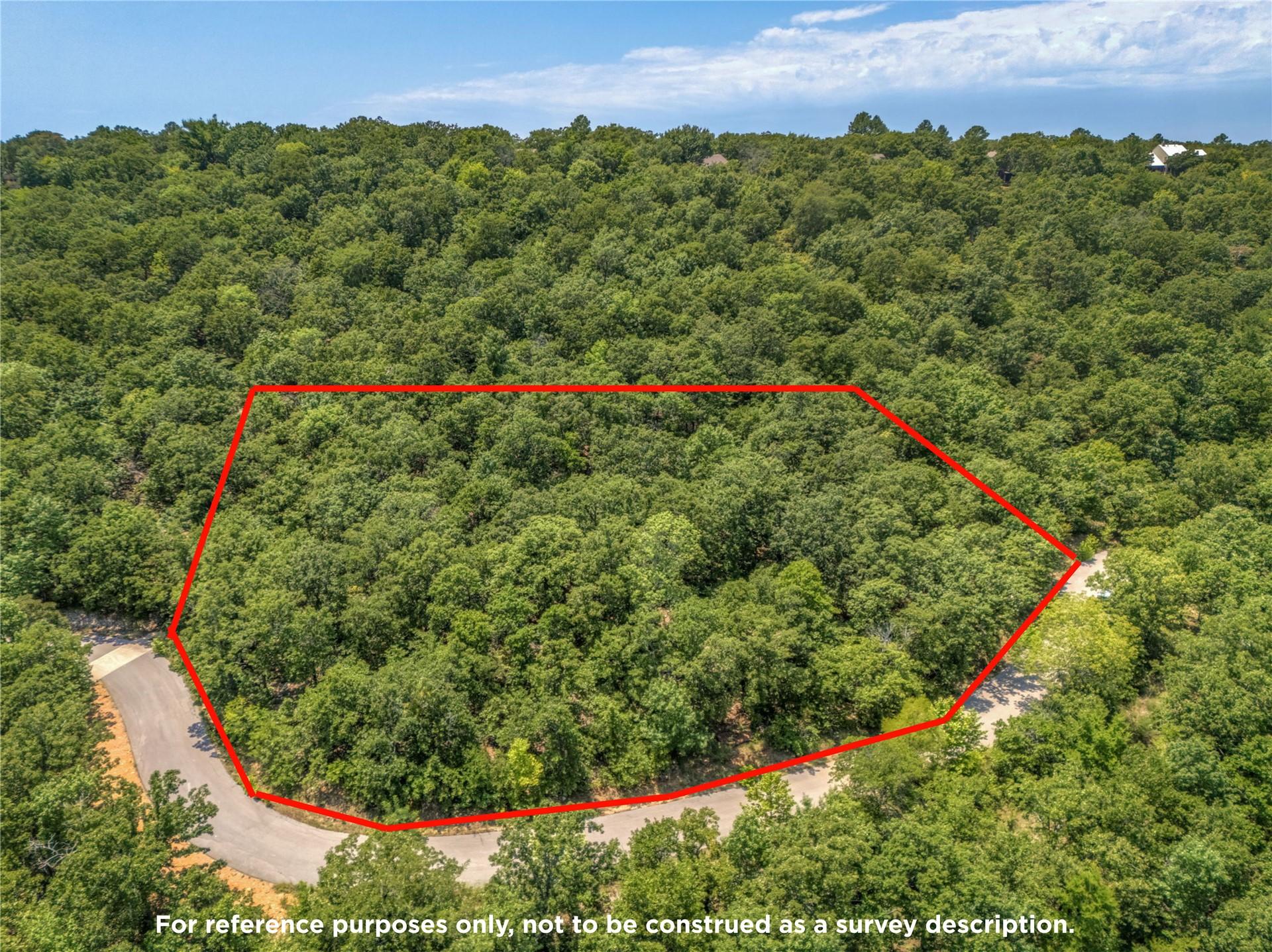 Image 2: Wooded lot with mature trees, established paved ro