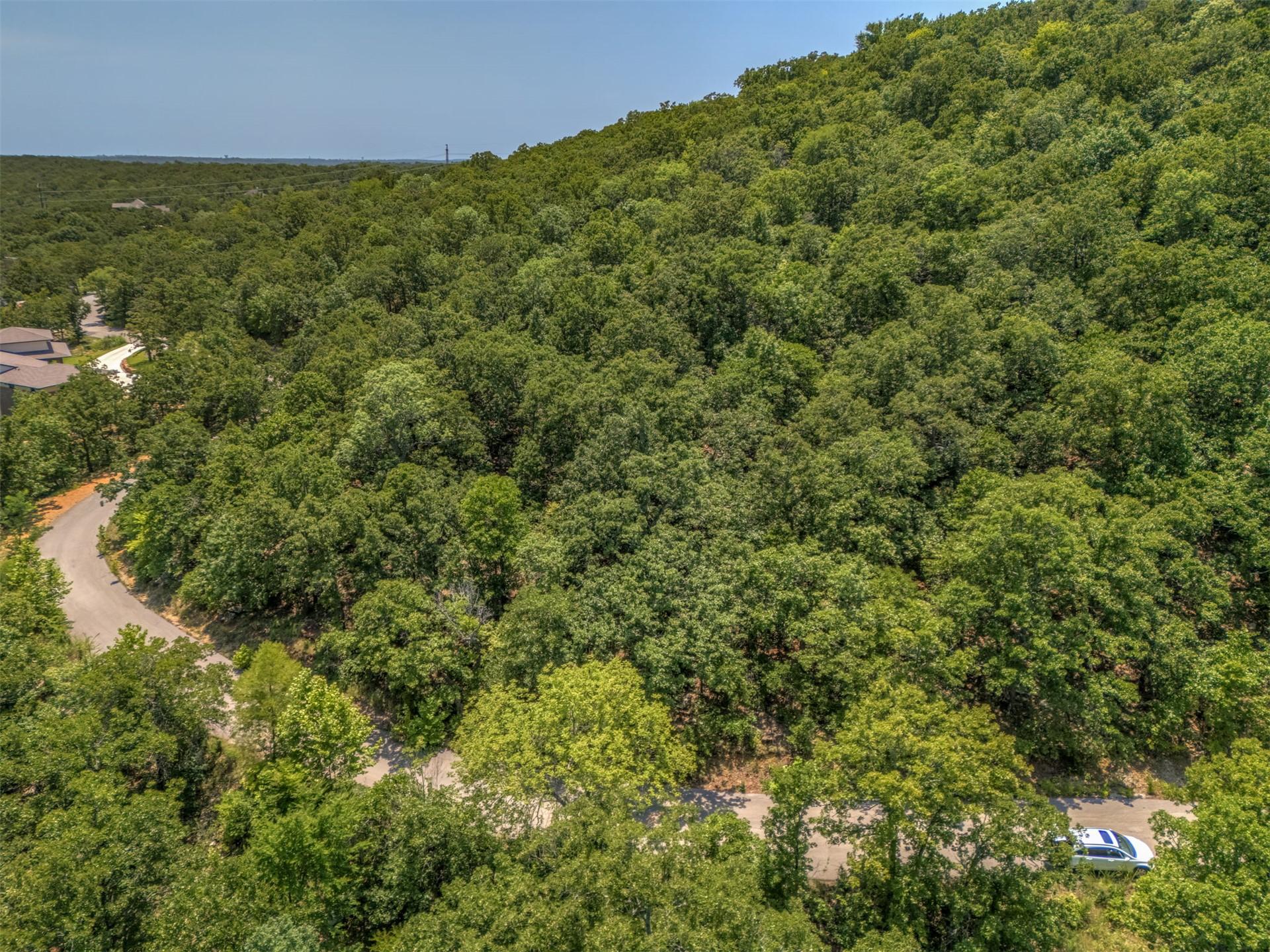 Image 3: Lush tree canopy surrounding a paved road