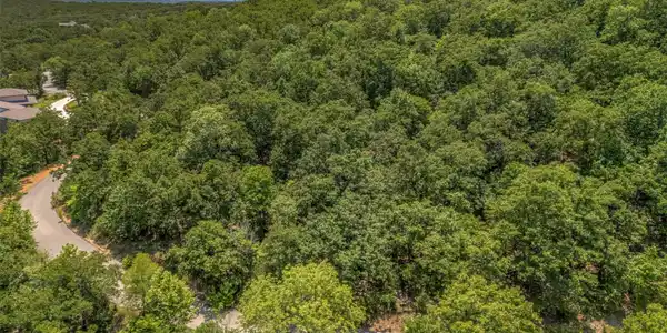 Image 3: Lush tree canopy surrounding a paved road