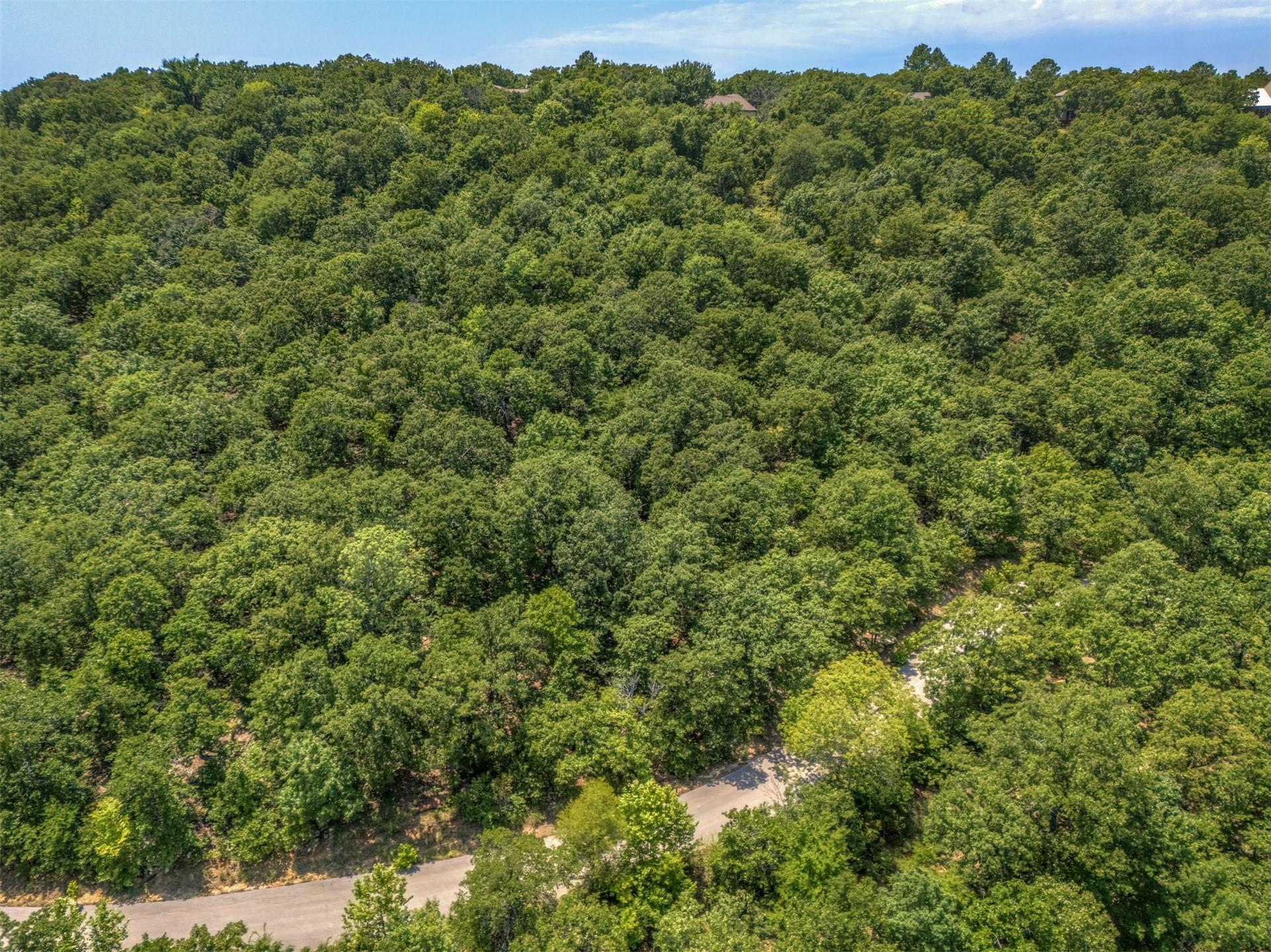 Image 4: Expansive treed landscape with a winding paved roa