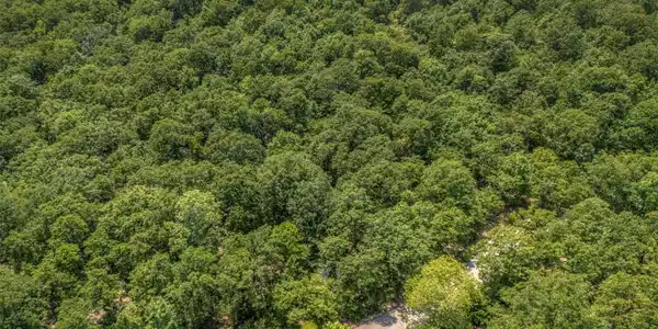 Image 4: Expansive treed landscape with a winding paved roa