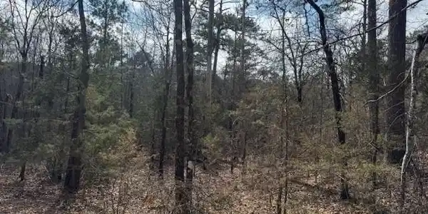 Turkey Creek Road