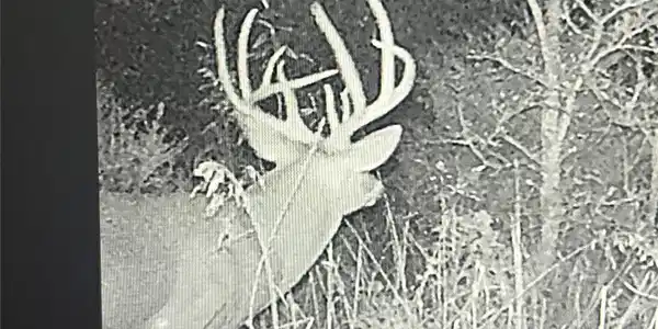 Image 2: Additional content