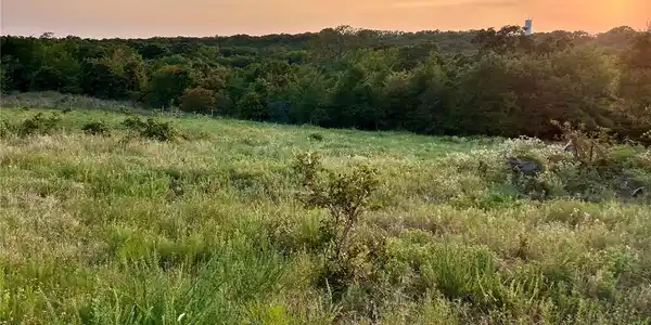 Image 3: Expansive open field with natural grasses and dist