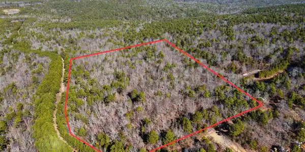 Pine Mountain