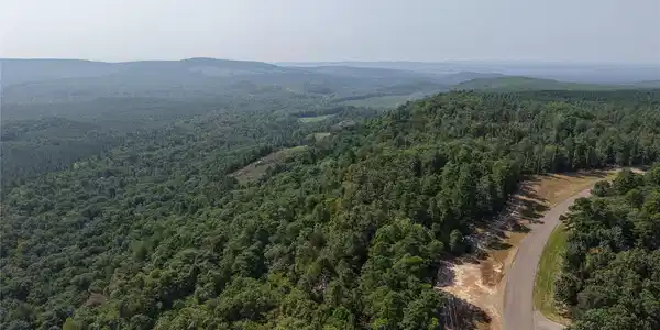 Image 3: Expansive wooded acreage with a paved roadway