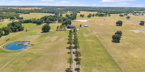 Image 4: Expansive acreage with a winding driveway bordered