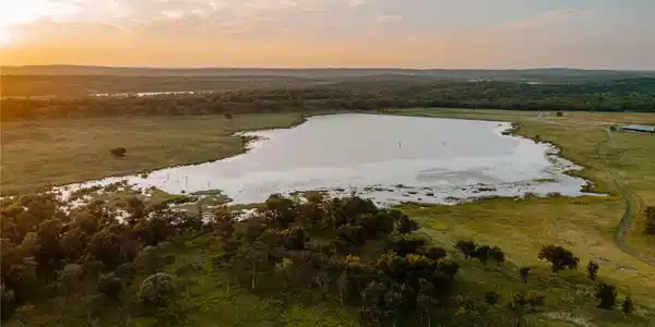 Image 3: Expansive body of water bordered by dense tree lin