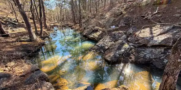 Burris Valley Road