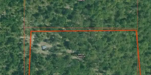 445 Buck Creek Mountain