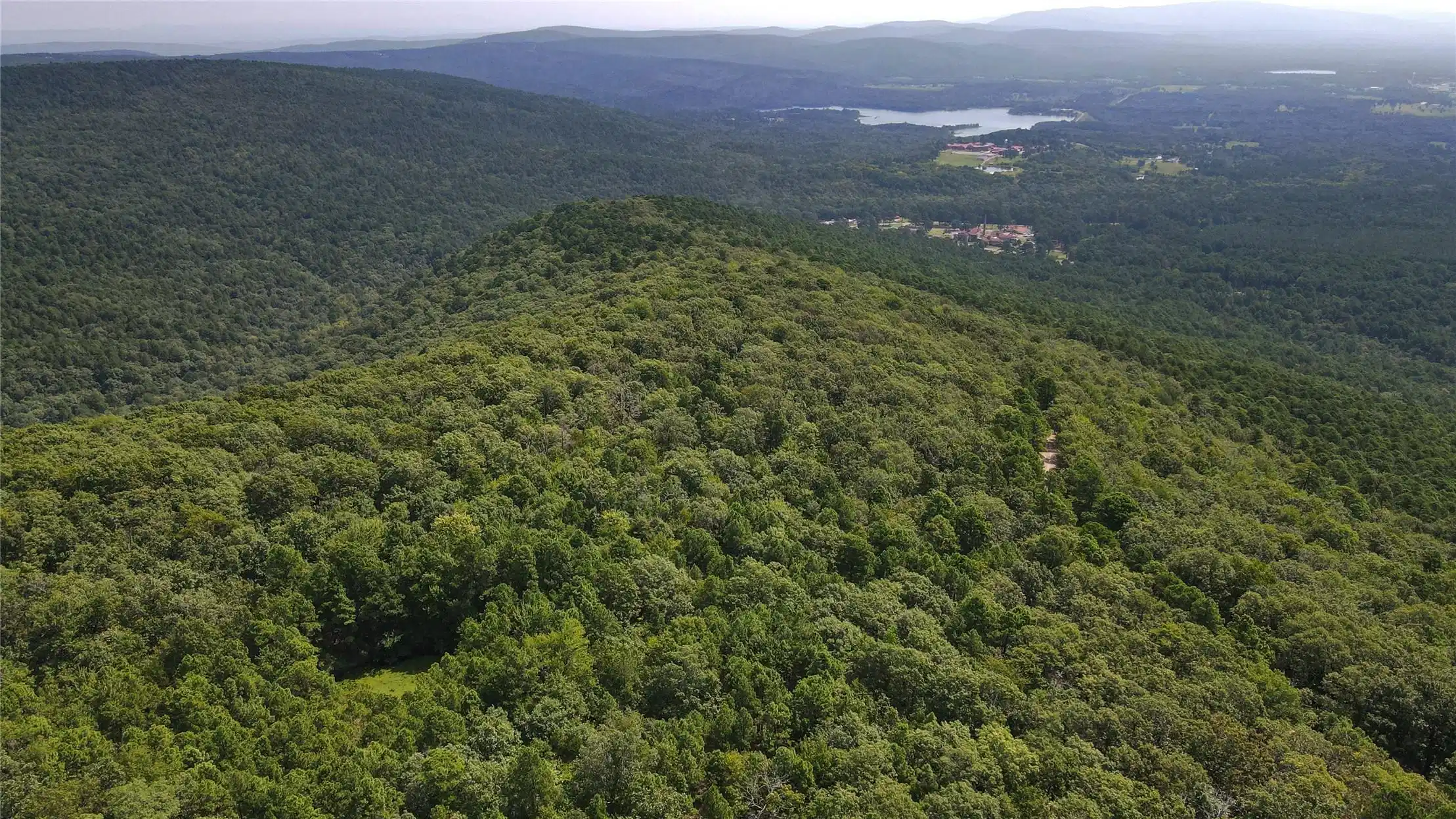 Image 1: Expansive forested landscape featuring undulating