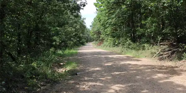Image 3: Gravel road bordered by lush green foliage and mat