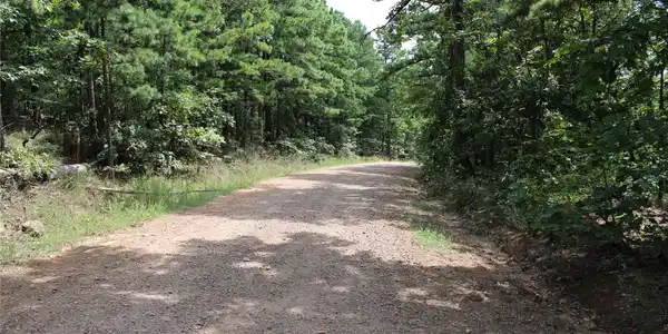Image 4: Private driveway lined with mature pine and hardwo
