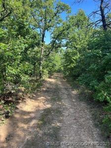 02 Rural Route
