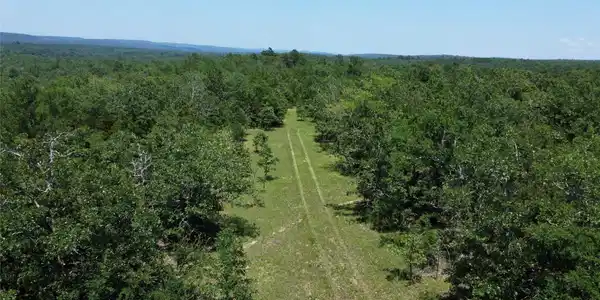 Webb Trail