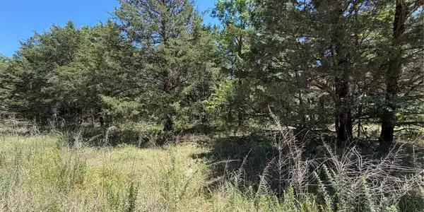 Image 2: Expansive parcel featuring a natural landscape wit