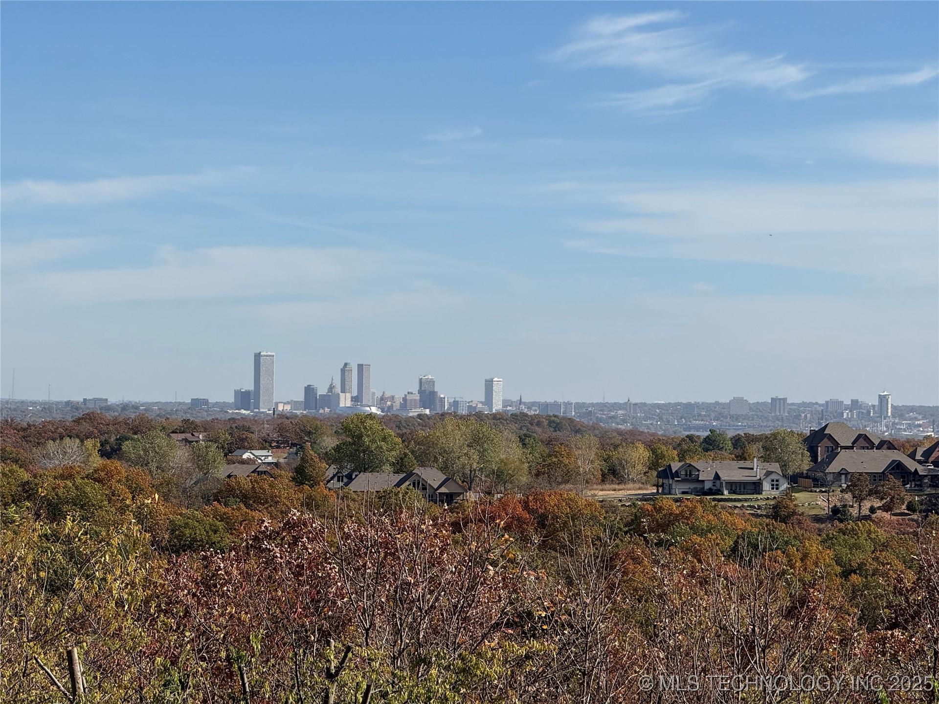 Image 2: Backyard view