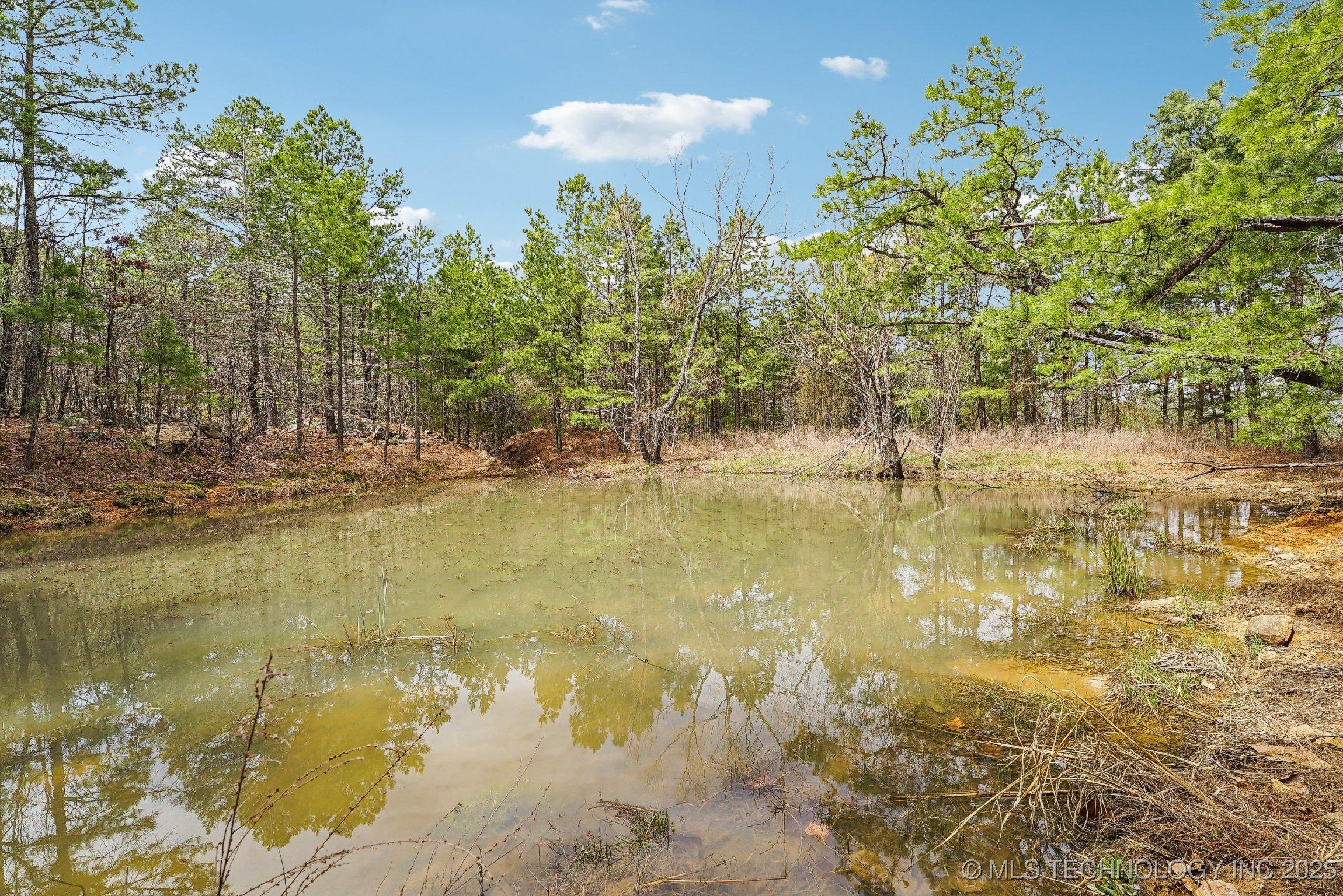 Image 1: Small pond