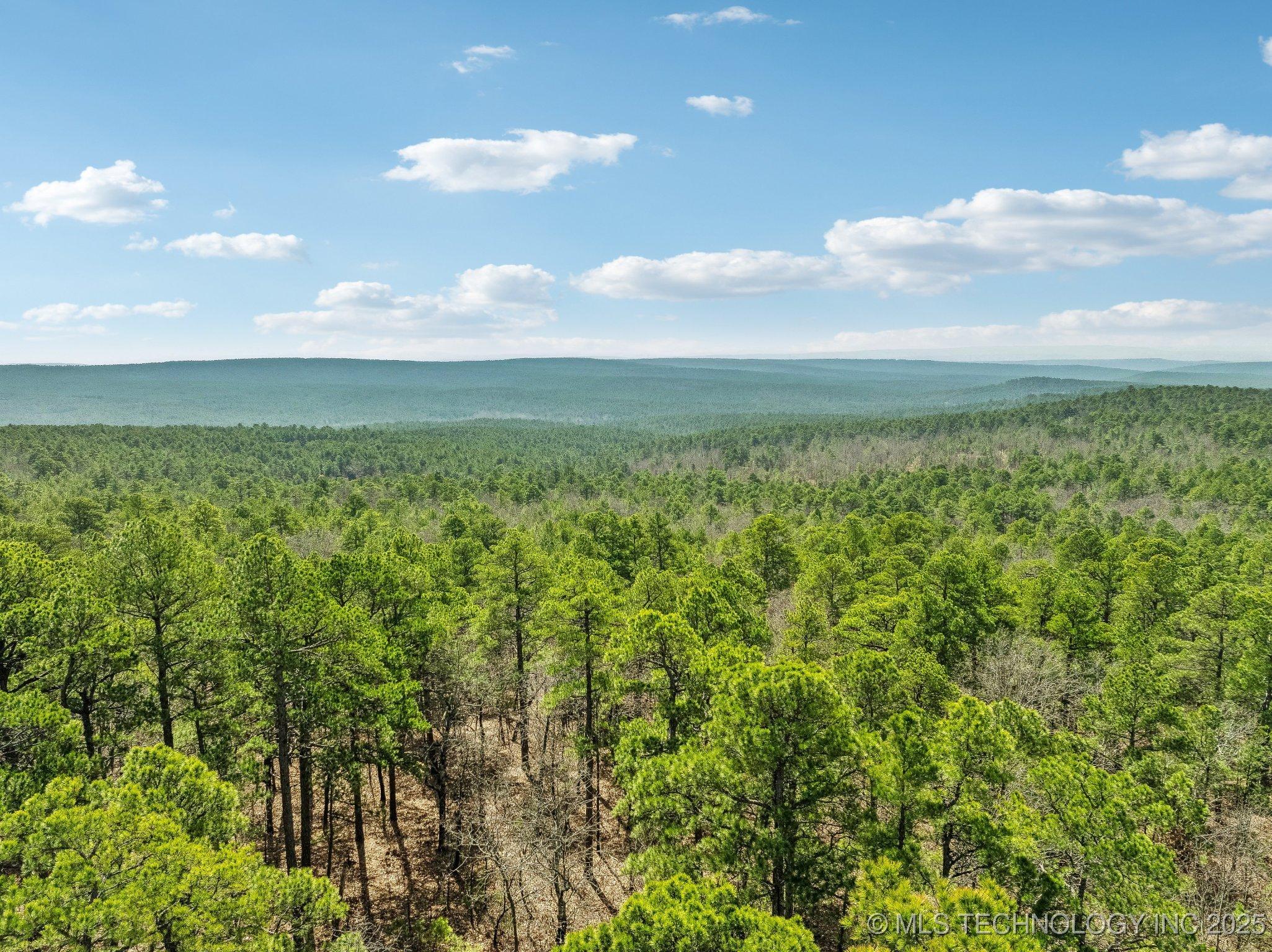 Image 3: View from property, Iron Post Mountain