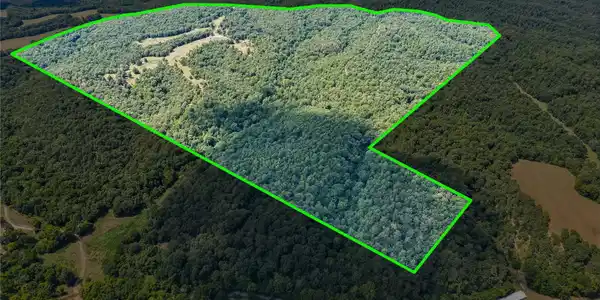 Image 4: Expansive wooded acreage with a defined property l