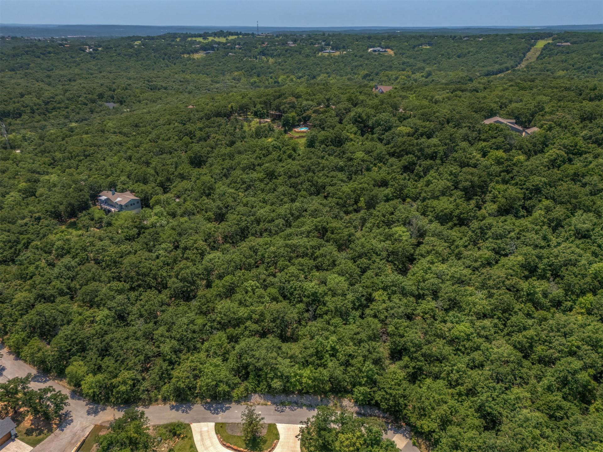 Image 2: Expansive, heavily wooded acreage offering a priva