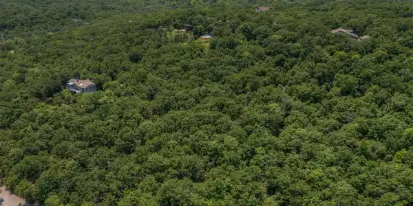 Image 2: Expansive, heavily wooded acreage offering a priva