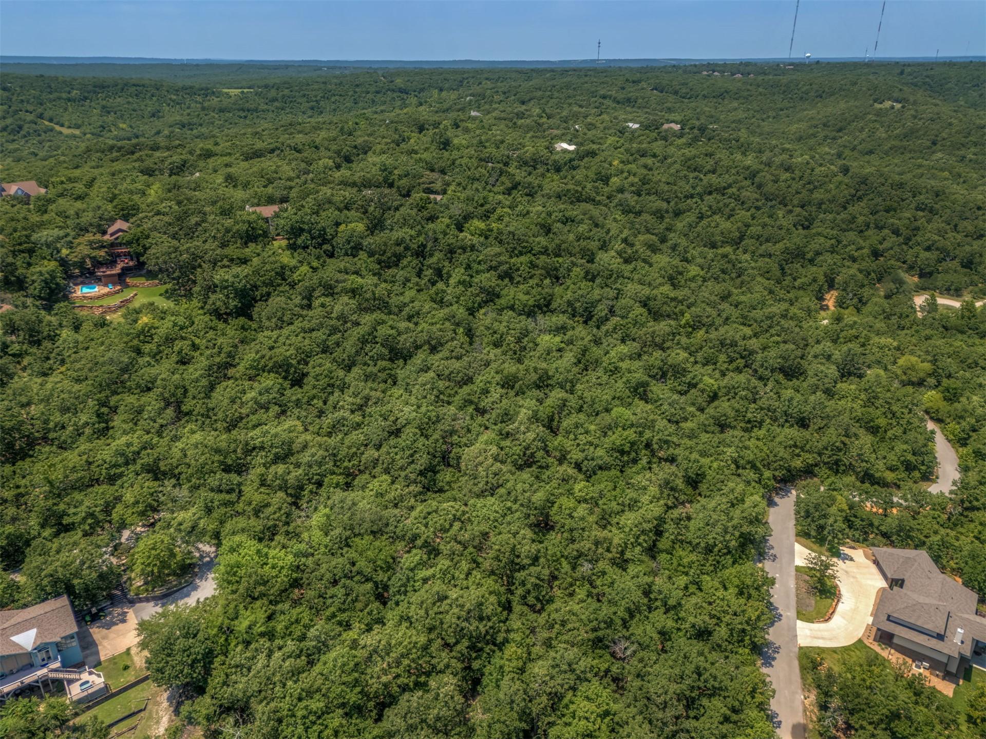 Image 4: Expansive treed landscape with a winding paved roa