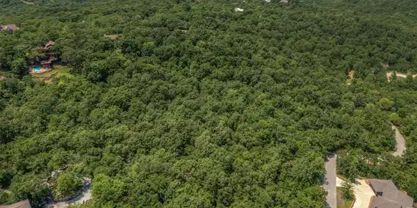 Image 4: Expansive treed landscape with a winding paved roa