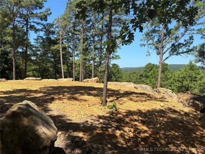 002 E Bolen Hollow W
