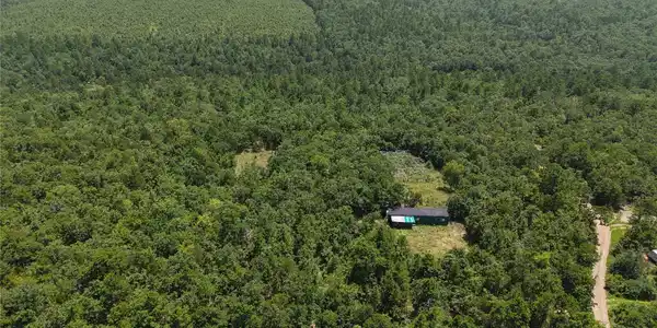 Image 2: Extensive wooded acreage featuring a single-story