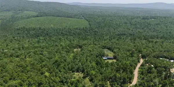Image 3: Expansive heavily wooded acreage with a single-sto
