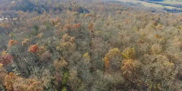 Lot 38 Overlook Dr.