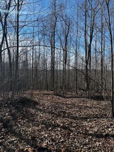 Upper Crab Rd