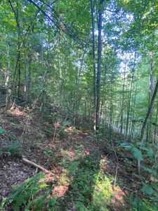 Lot 413 East Obey Lane
