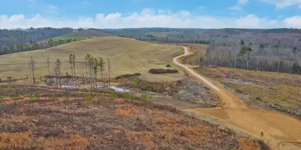 Possum Trot Road - Tract 14