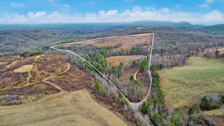 Possum Trot Road - 142.25 Acres