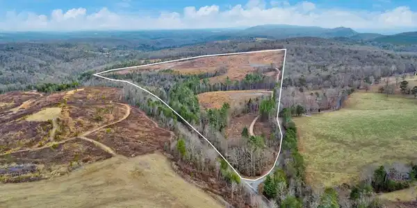 Possum Trot Road - 142.25 Acres
