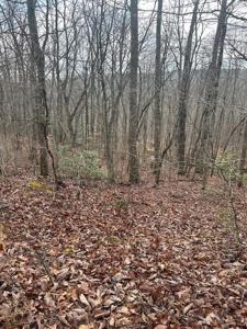 lot 38 Pioneer Trail