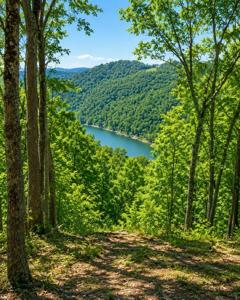 10 AC Jimmy Reneau Rd