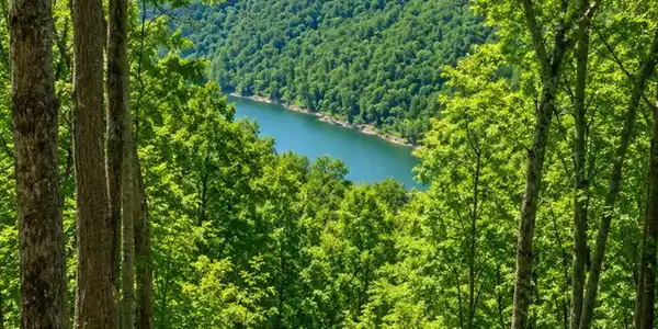 10 AC Jimmy Reneau Rd