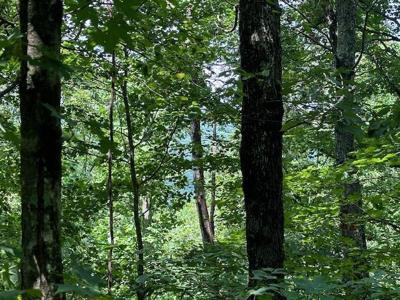 Lot 89 Bobcat Lane