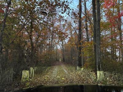 20.38 ac Smithville Highway