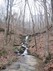 10.85ac Cheyenne Drive