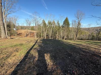 20 Bluff View Loop