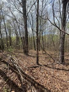 Lot 345 Drew Court